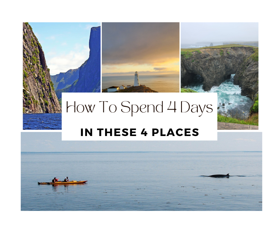 How To Spend 4 days in Newfoundland and Labrador