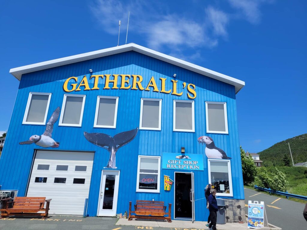 Gatherall's Puffin and Whale Watch