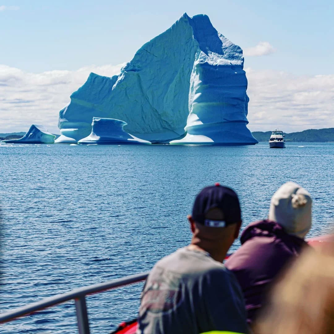 twillingate adventure tours tours