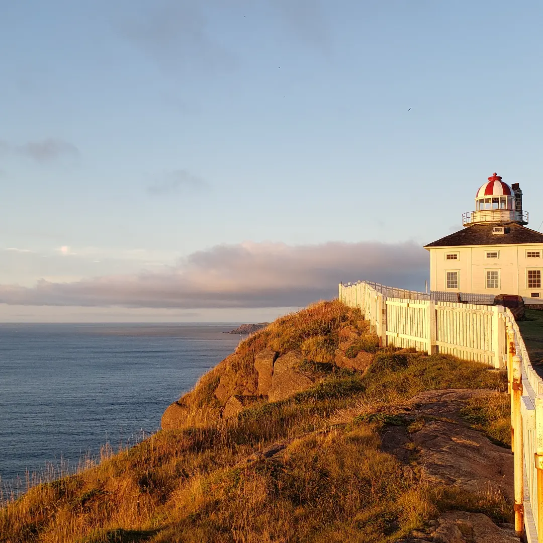 The Top 7 Rated Sites to Visit in St. John's, Newfoundland