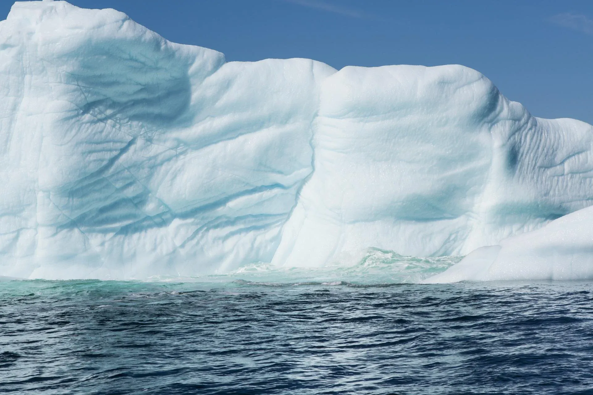 icebergs in Newfoundland