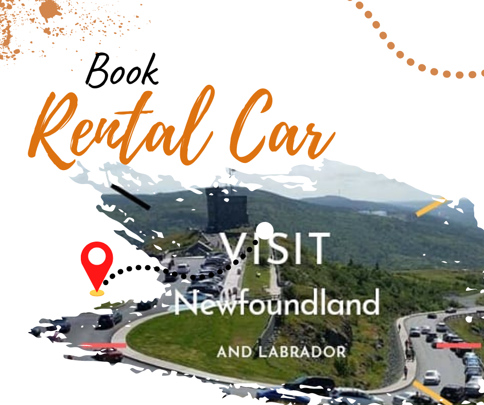 Do you need a car when visiting Newfoundland?