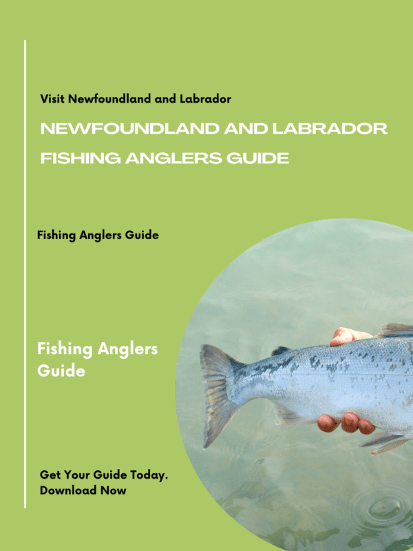 Fishing Anglers Guide