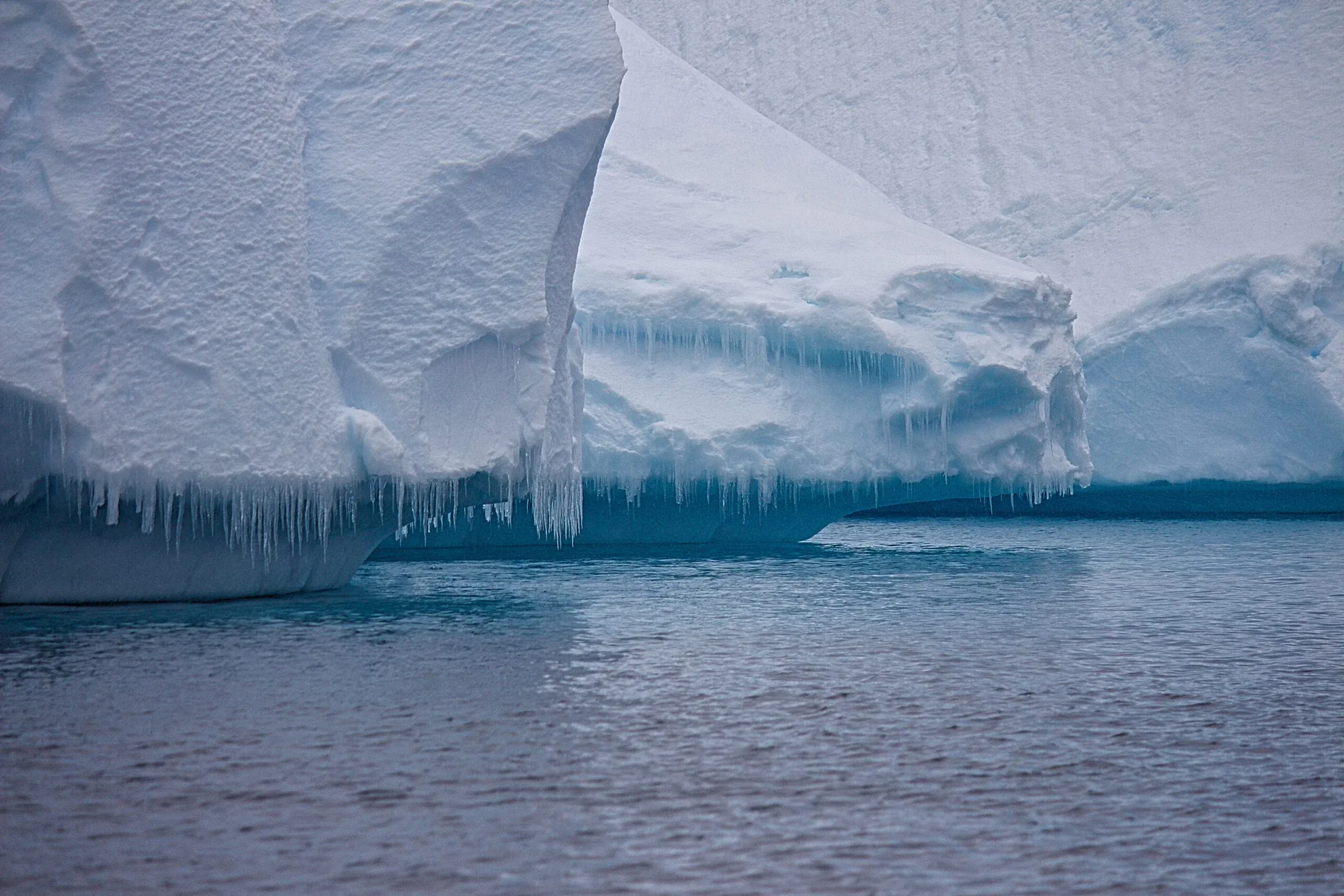 Iceberg Alley Newfoundland