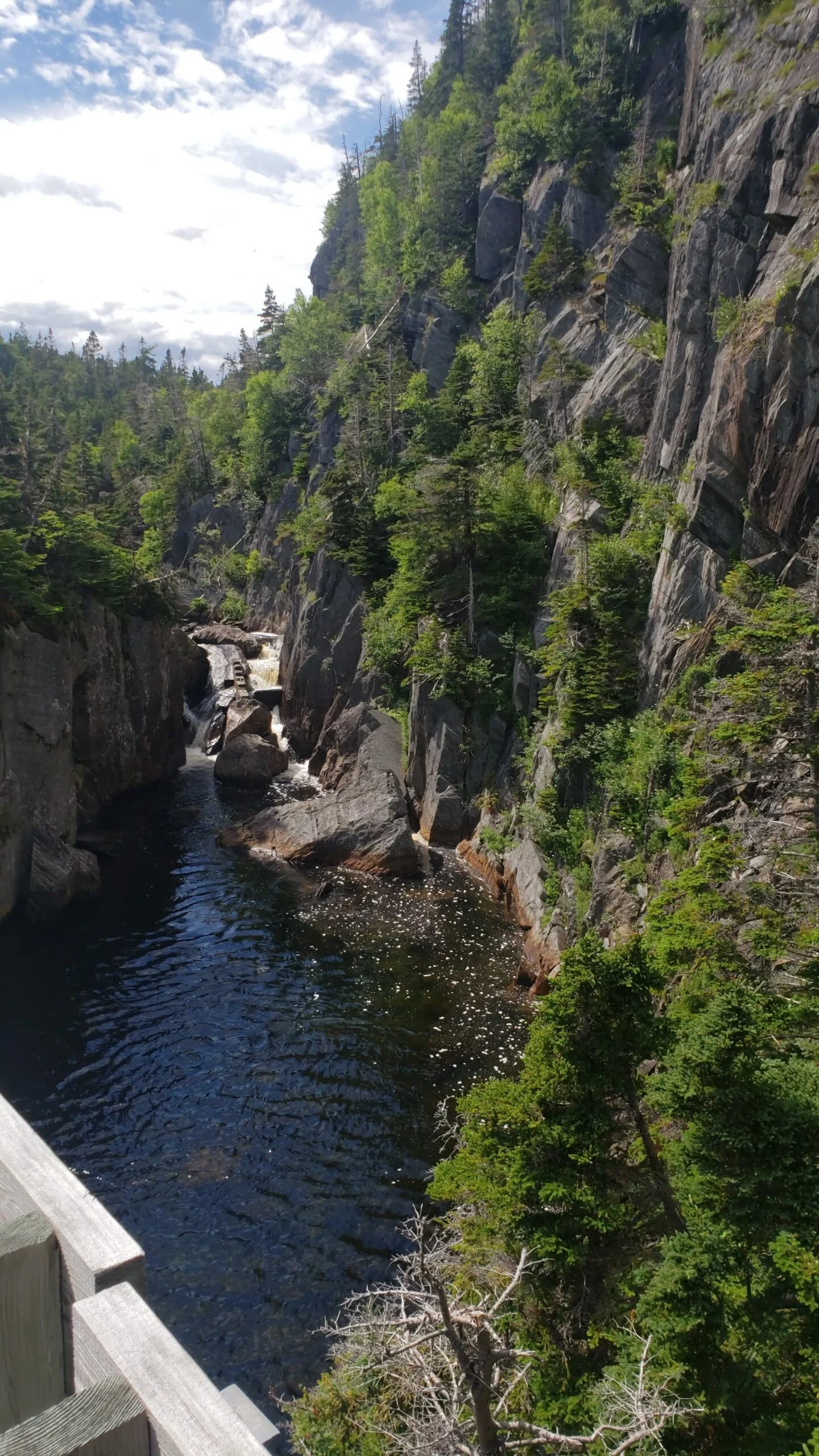 LaManche Suspension Bridge