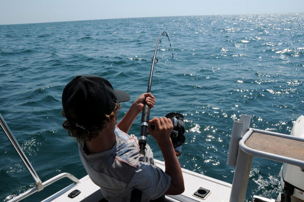 NL Boat Tours