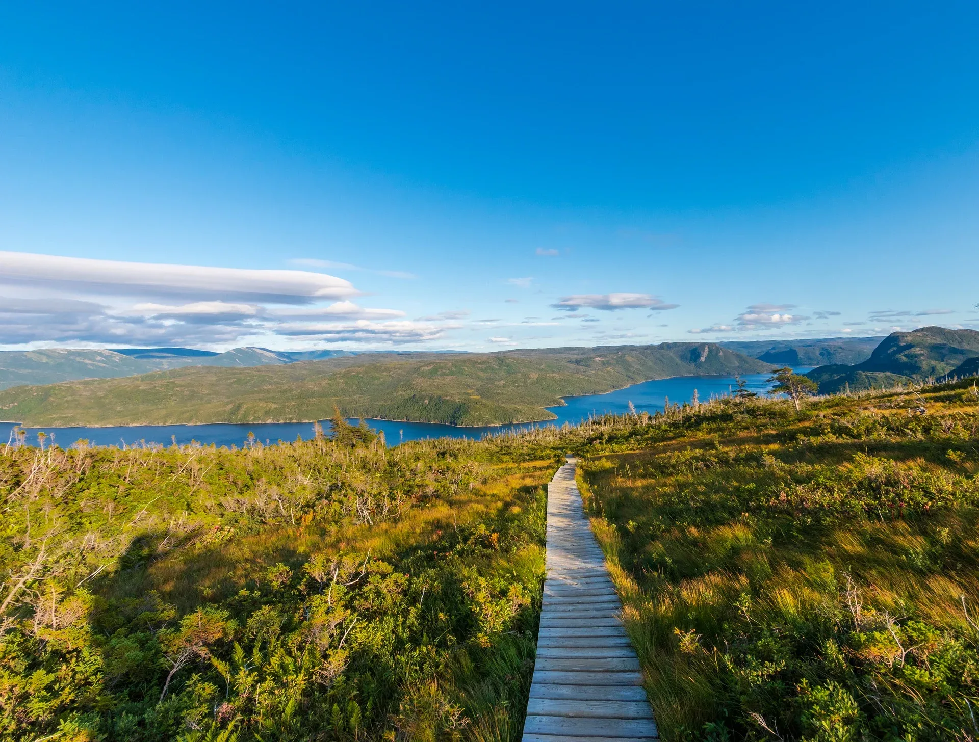 Getting to Newfoundland and Labrador Discover The Best Top Destinations In Western NL Gros Morne
