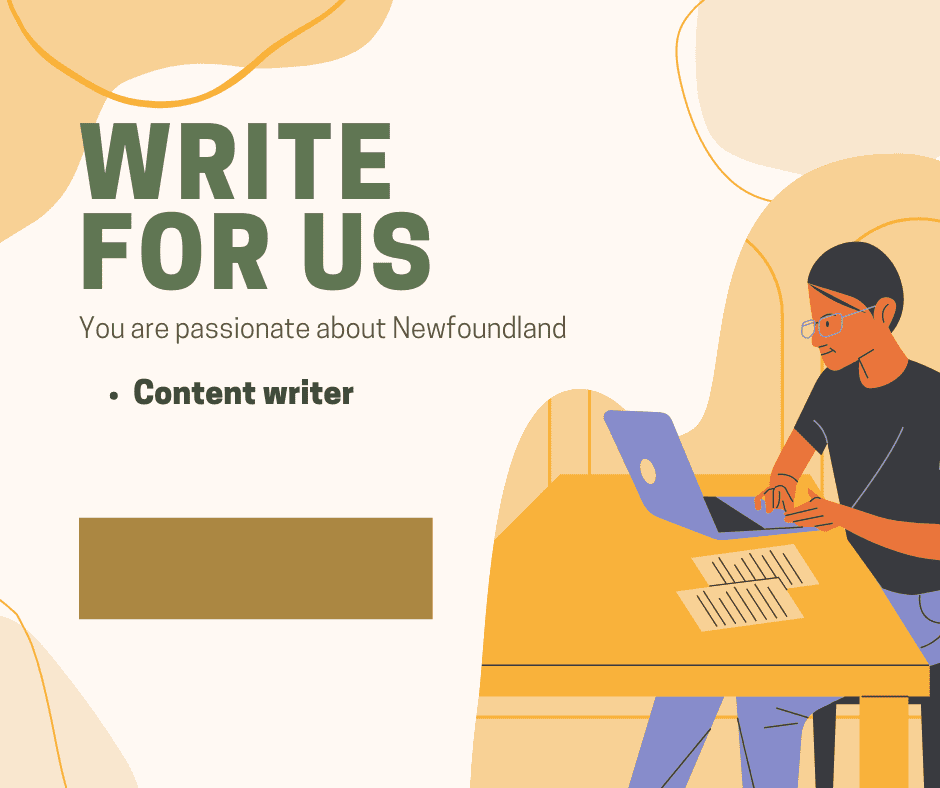 Write for our blog Become a Contributor