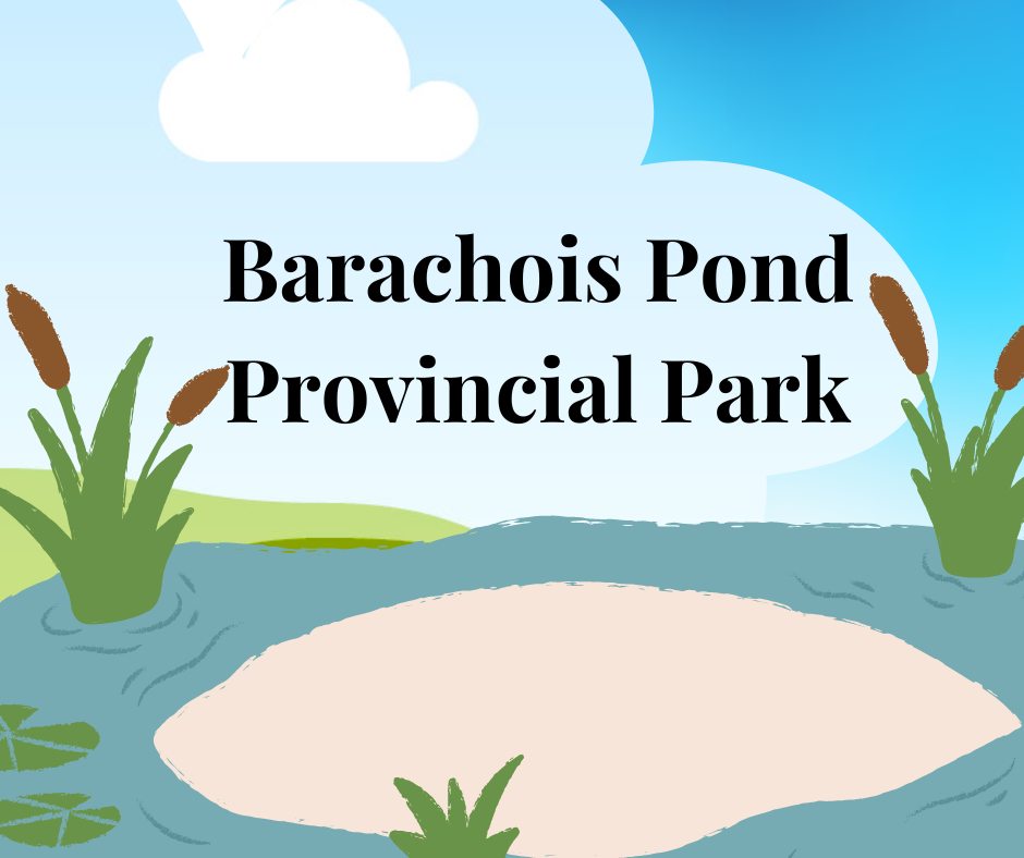 Barachois Pond Provincial Park RV Parks in Newfoundland