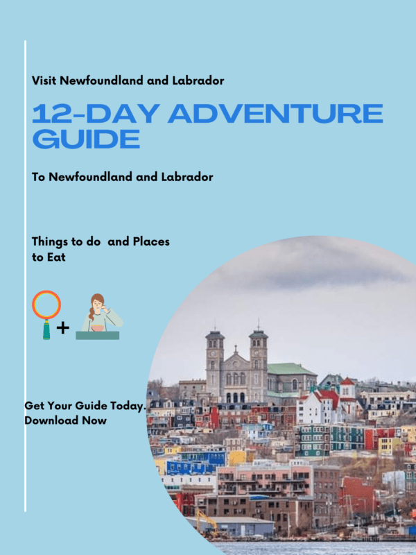 12-Day Adventure Guide To Newfoundland and Labrador
