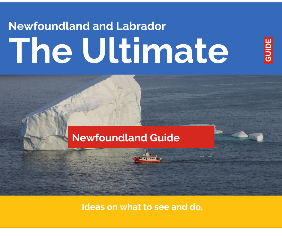 The Ultimate Guide to Newfoundland