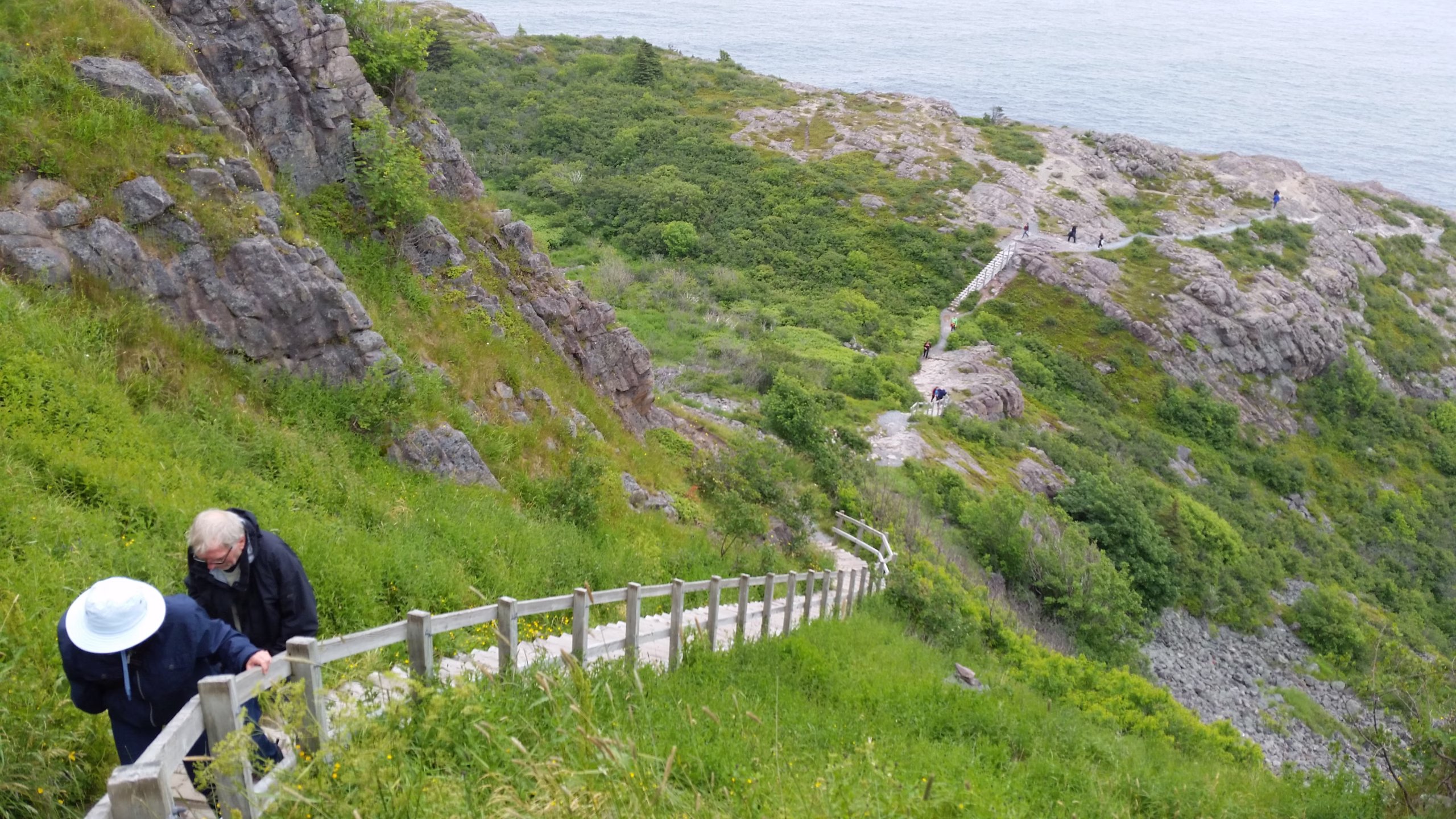 North Head Trail Planning Your Perfect Trip to Newfoundland Use Expert Advice