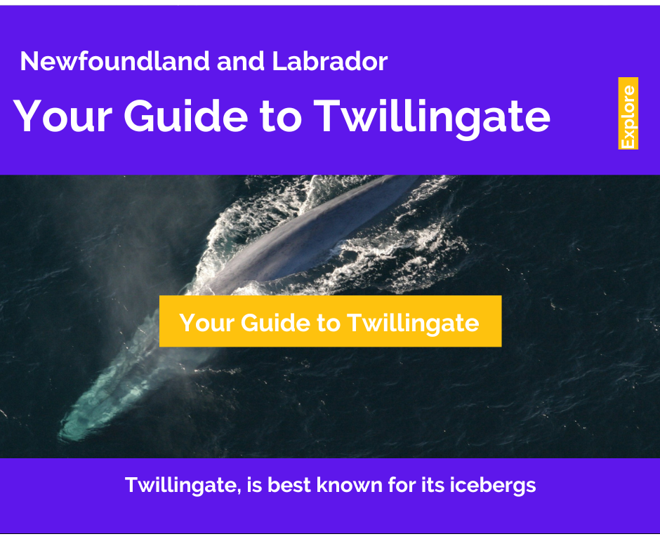 Your Guide to Twillingate