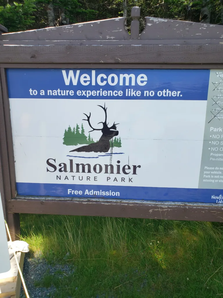 Salmonier Nature Park
11 Happy and Awesome Places to visit In Newfoundland

