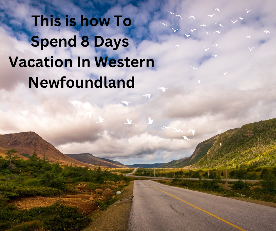 This is how To Spend 8 Days Vacation In Western Newfoundland