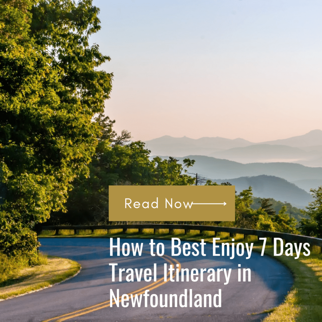newfoundland travel tips
