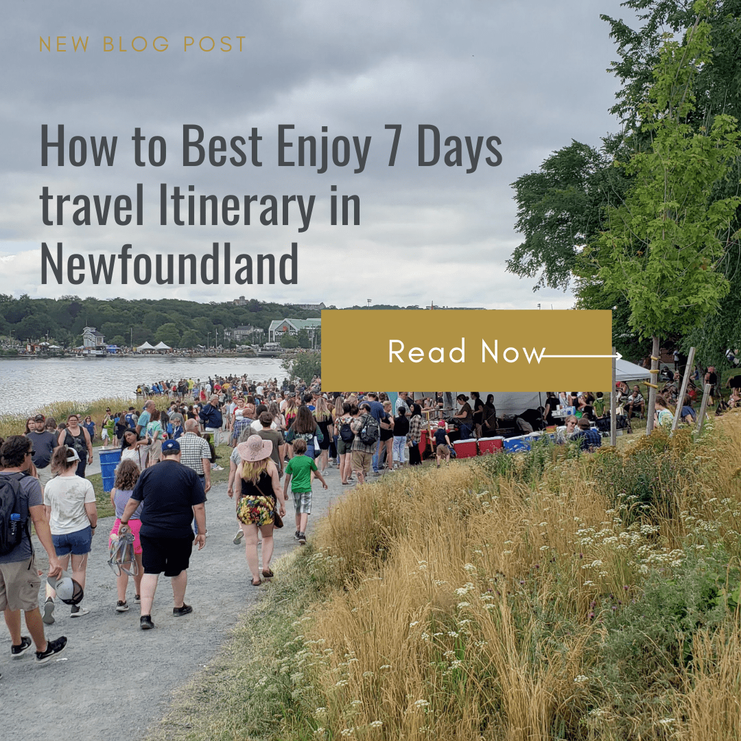 7 Days travel Itinerary in Newfoundland