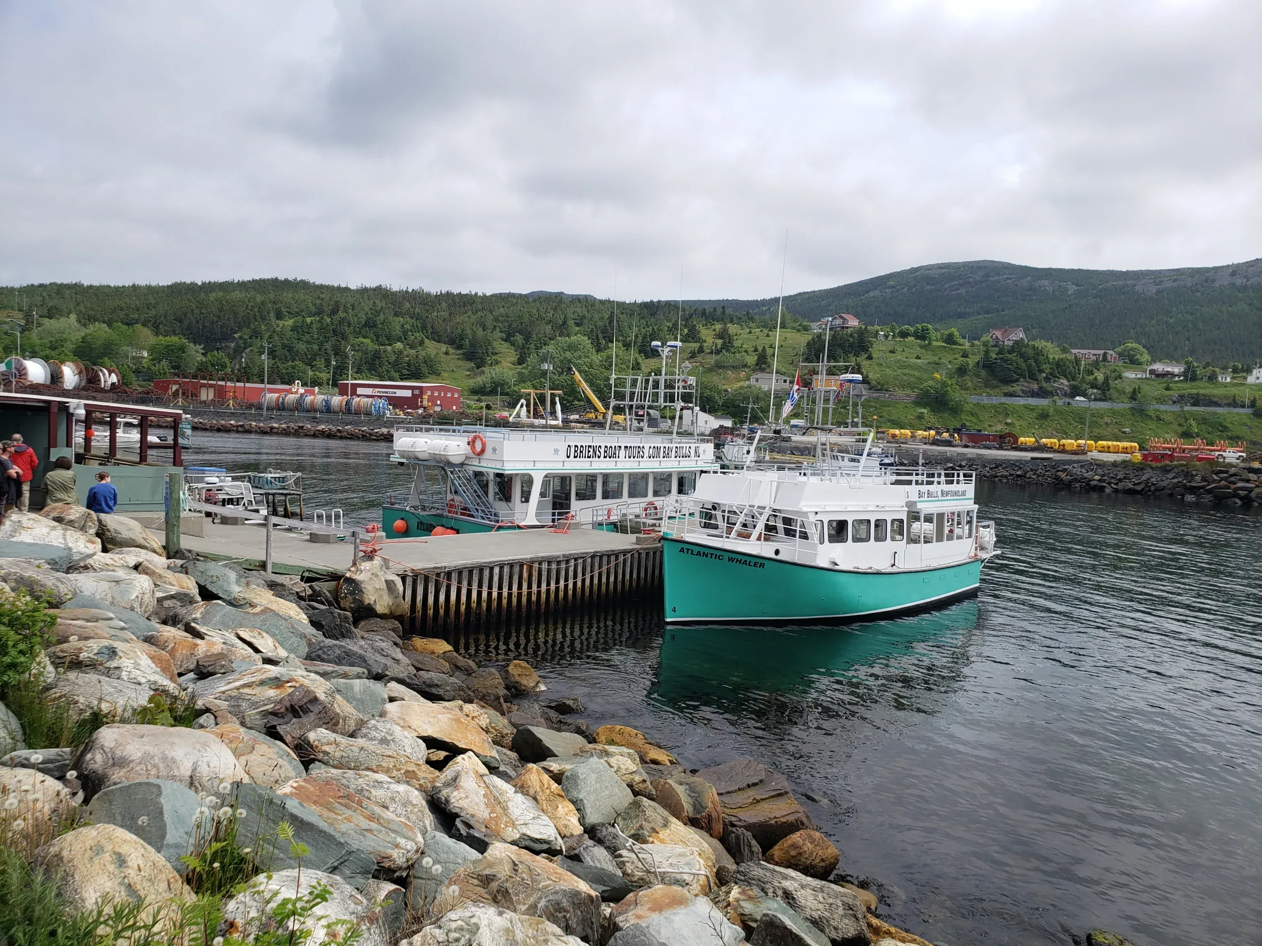 Exploring The Best Beauty Of The Irish Loop In Newfoundland