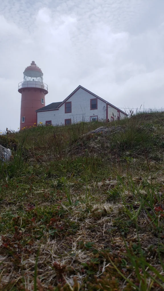 Exploring The Best Beauty Of The Irish Loop In Newfoundland