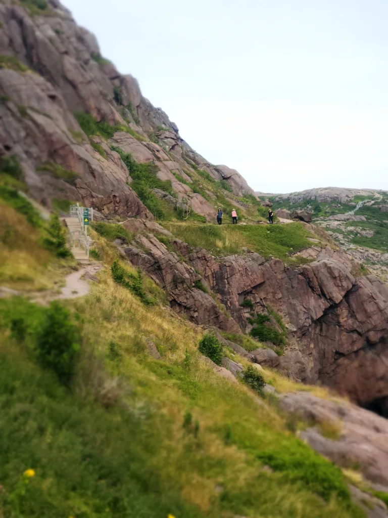 The 3 Most Beautiful Places In St. John's We Visited