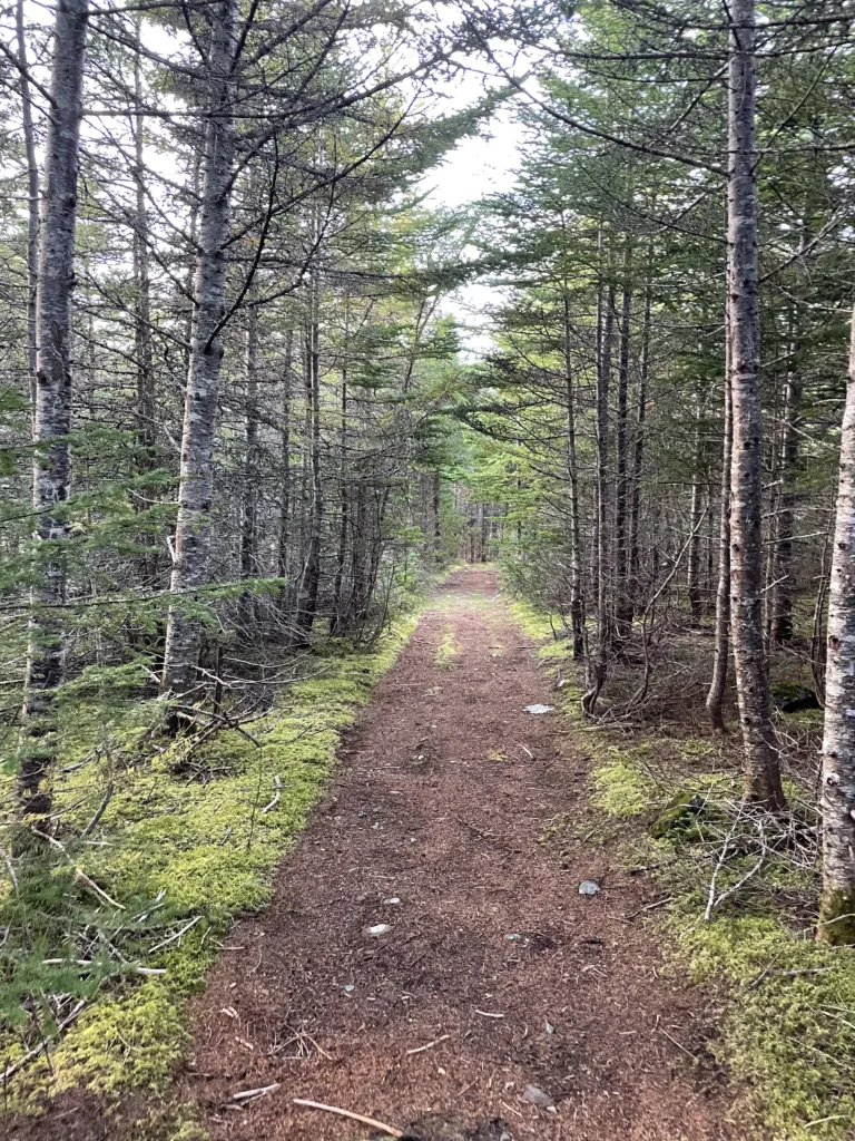 Hiking On The Beautiful Blue Hills Trail in Conception Harbour