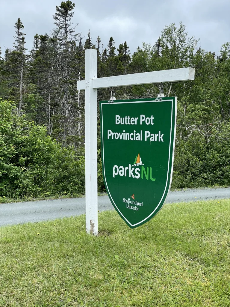 Hiking On The Beautiful Butterpot Hill Hiking Trail Butter Pot Hill Trail. Ultimate Guide to Newfoundland