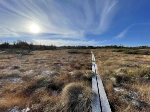 Hiking On The Beautiful Center Hill Trail
