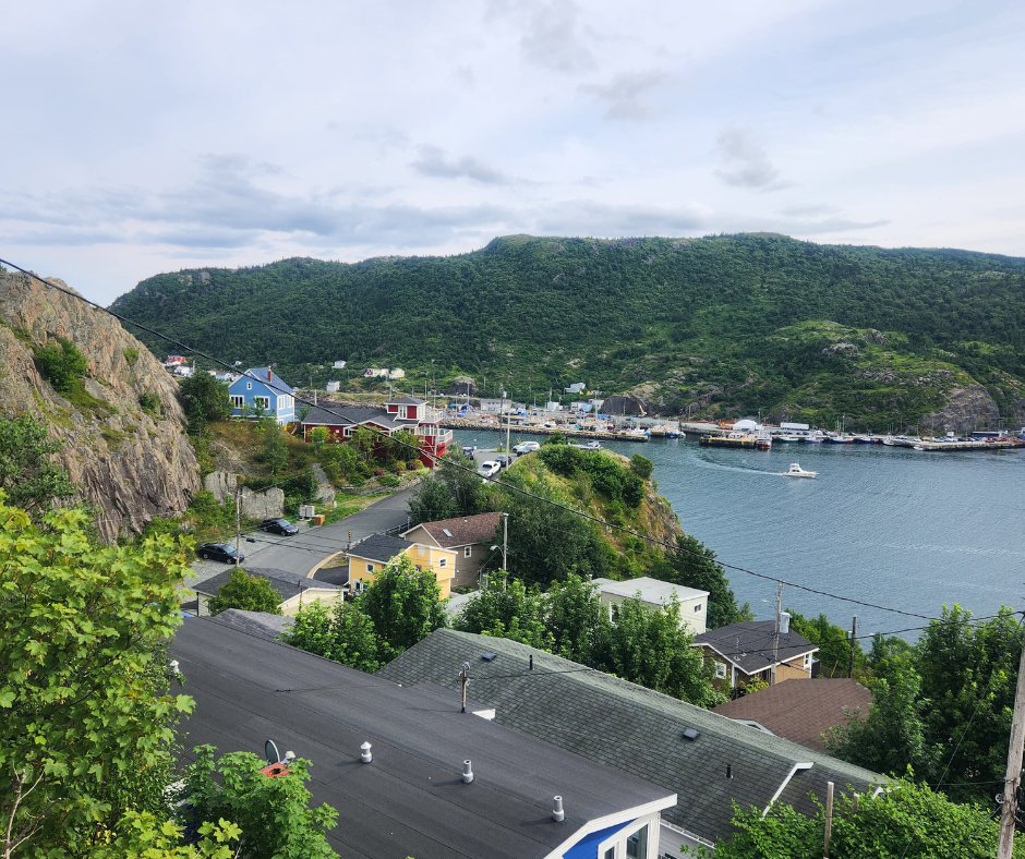 Out Of The Ordinary Things To Do In St. John's