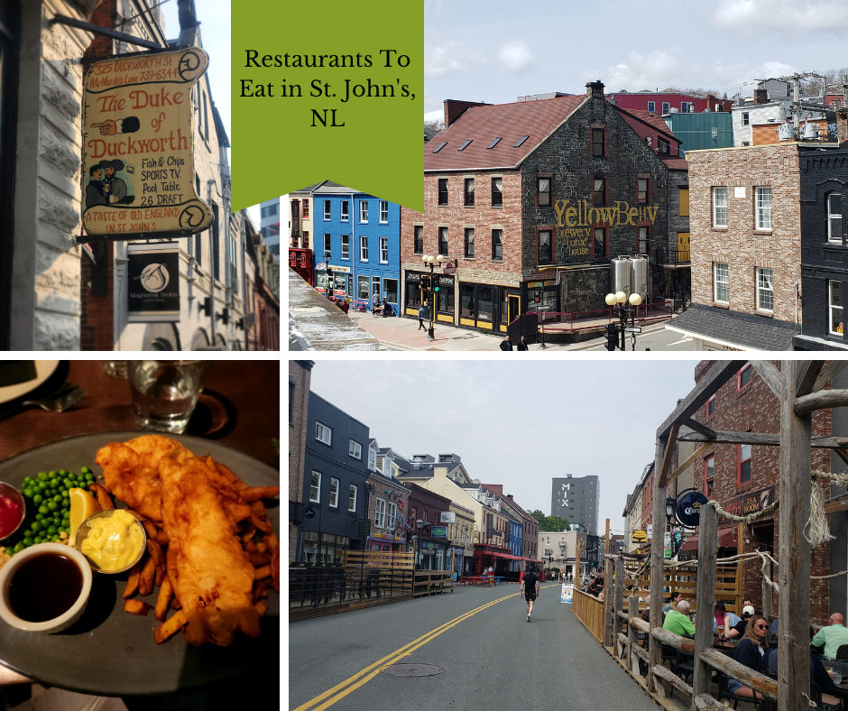 The Best Amazing Restaurants in St. John's to eat out