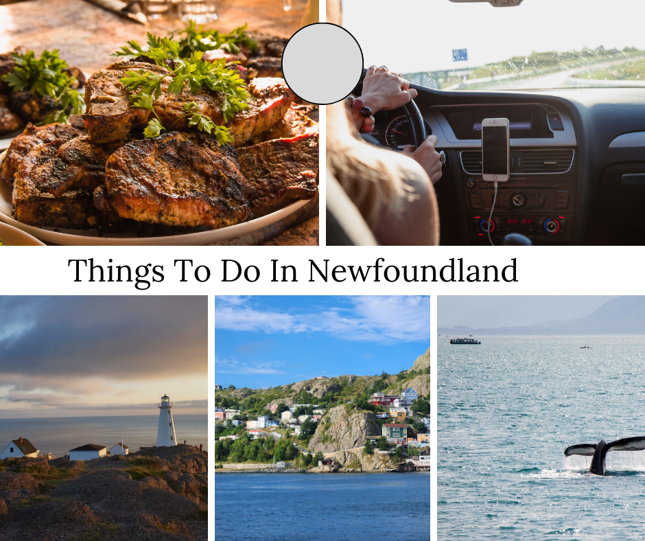 The Best Things To Do In Newfoundland and Labrador Canada