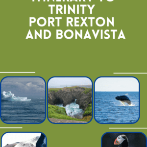 Guide to Trinity Port Rexton and Bonavista
