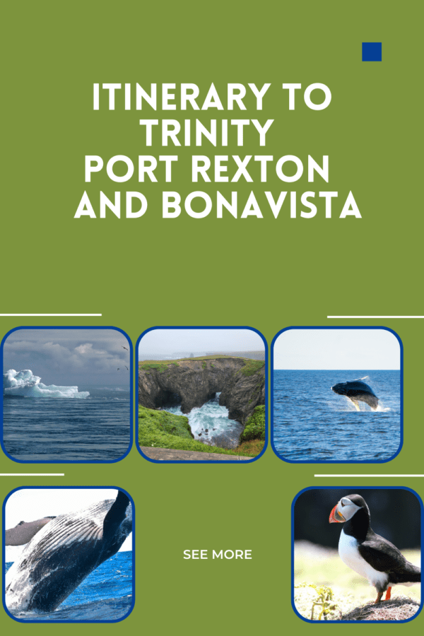 Guide to Trinity Port Rexton and Bonavista