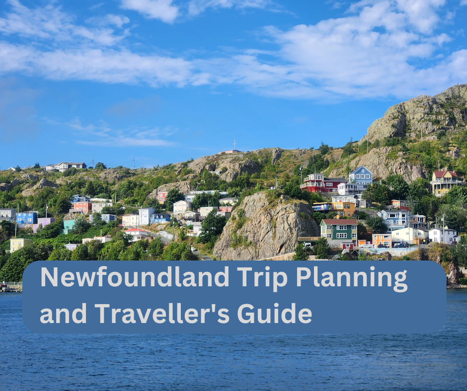 Newfoundland Trip Planning and Traveller's Guide. place to stay . Things to do in St. John’s . Ultimate guide of activities if you are visiting this Fathers Day How to walk around downtown St John's Discover The Magnificent World Of Newfoundland Whale Watching