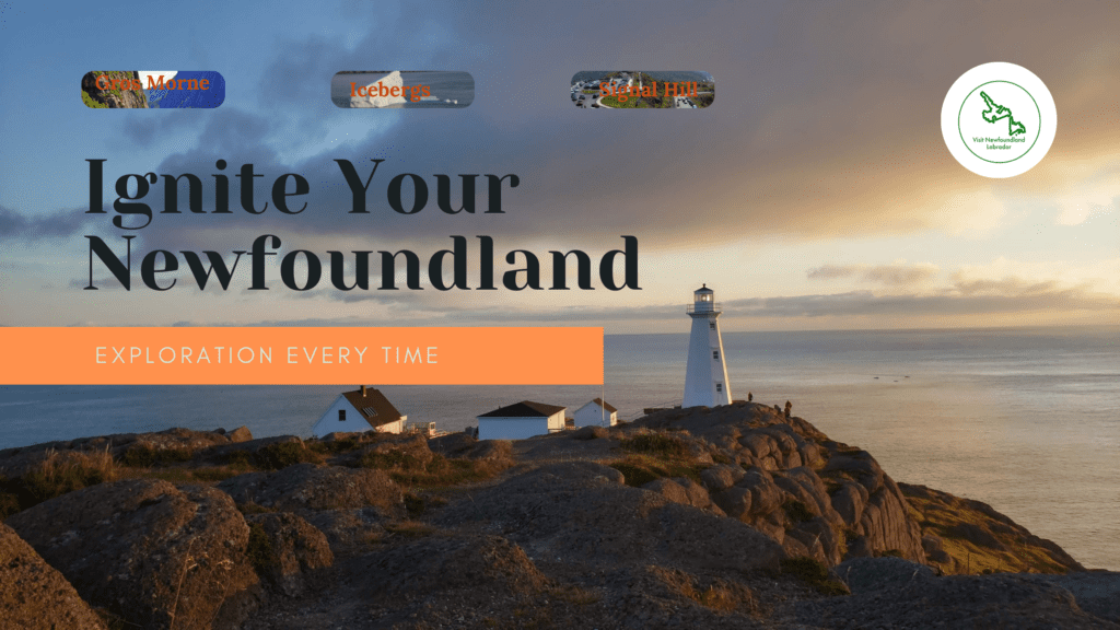 10 Epic Stops to Ignite Your Newfoundland Exploration every time
Exploring St. John's 17 Top-Rated Tourist Attractions