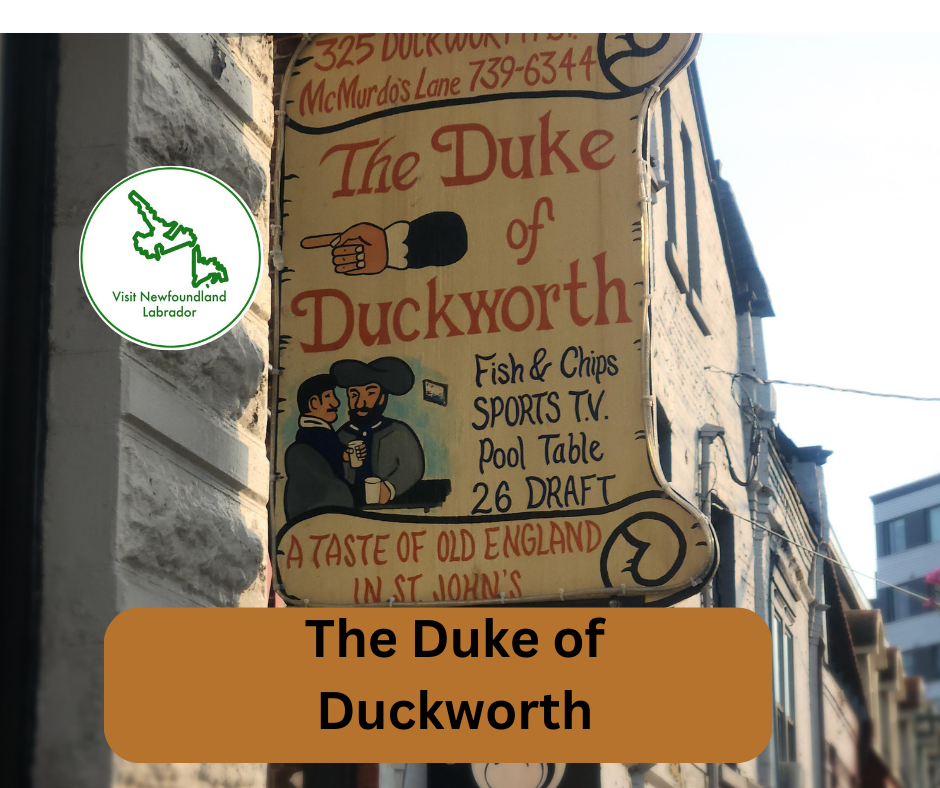 The Duke of Duckworth