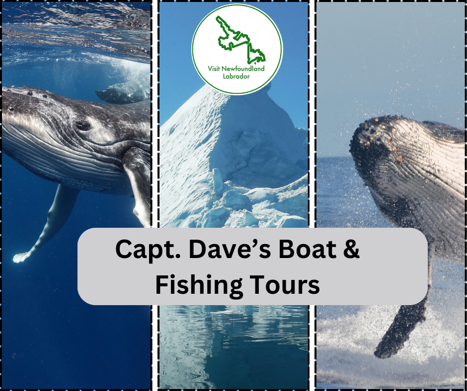 Capt. Dave’s Boat & Fishing Tours