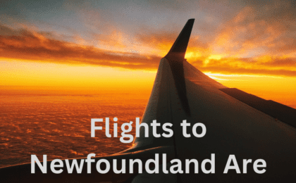 Flights to Newfoundland Are on Sale