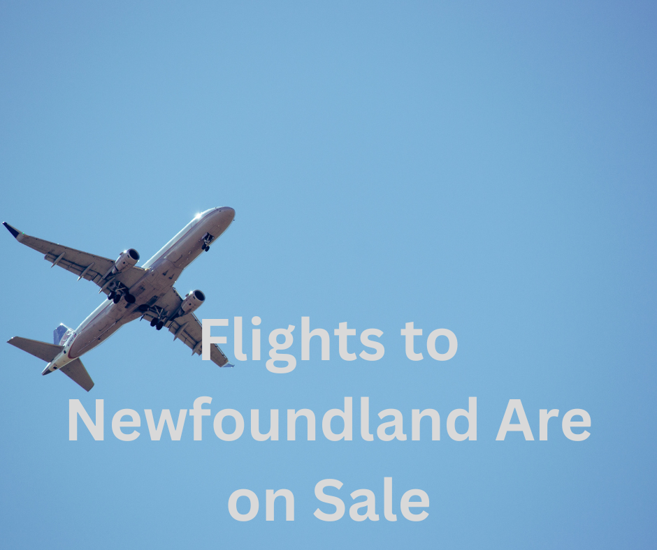Flights to Newfoundland Are on Sale
