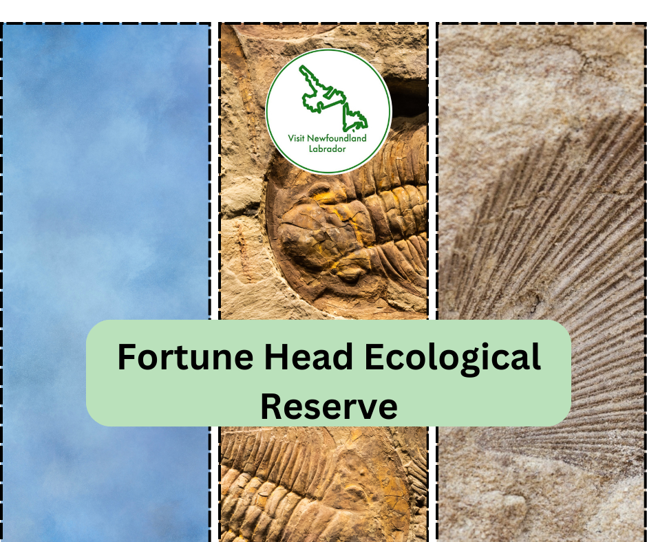 Fortune Head Ecological Reserve