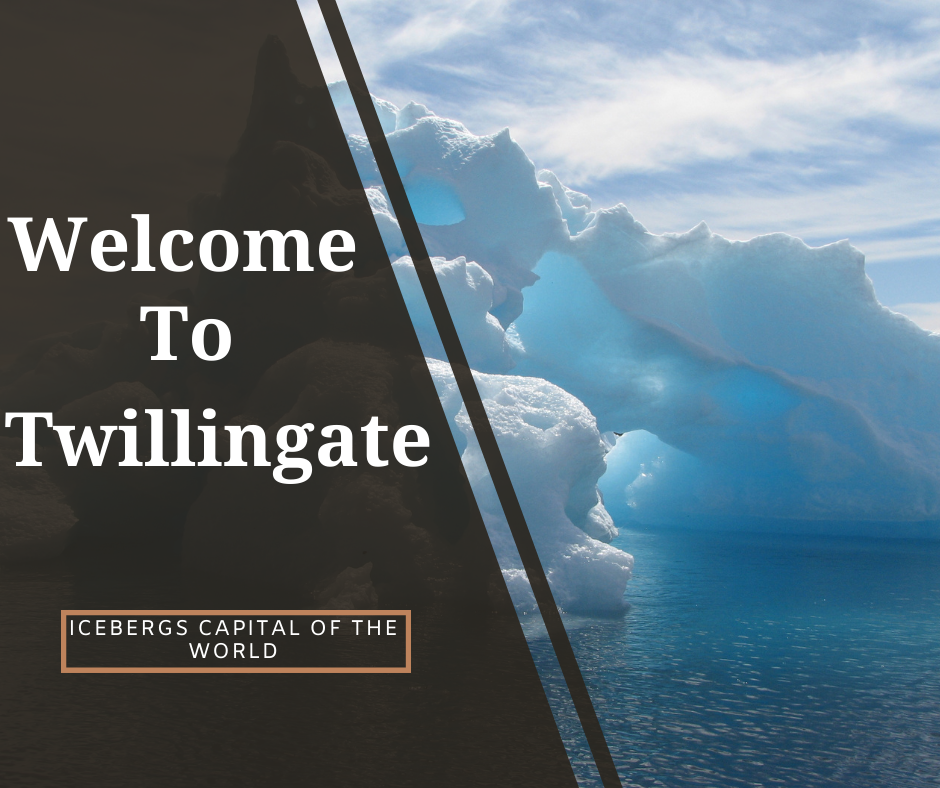 Welcome to Twillingate
Top Things to Discover Twillingate Ultimate Travel Guide