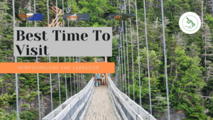 The best time to visit Newfoundland and have fun