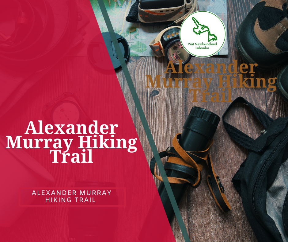 Alexander Murray Hiking Trail Transform Your Next Adventure By Experiencing Green Bay