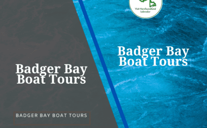 Badger Bay Boat Tours Transform Your Next Adventure By Experiencing Green Bay