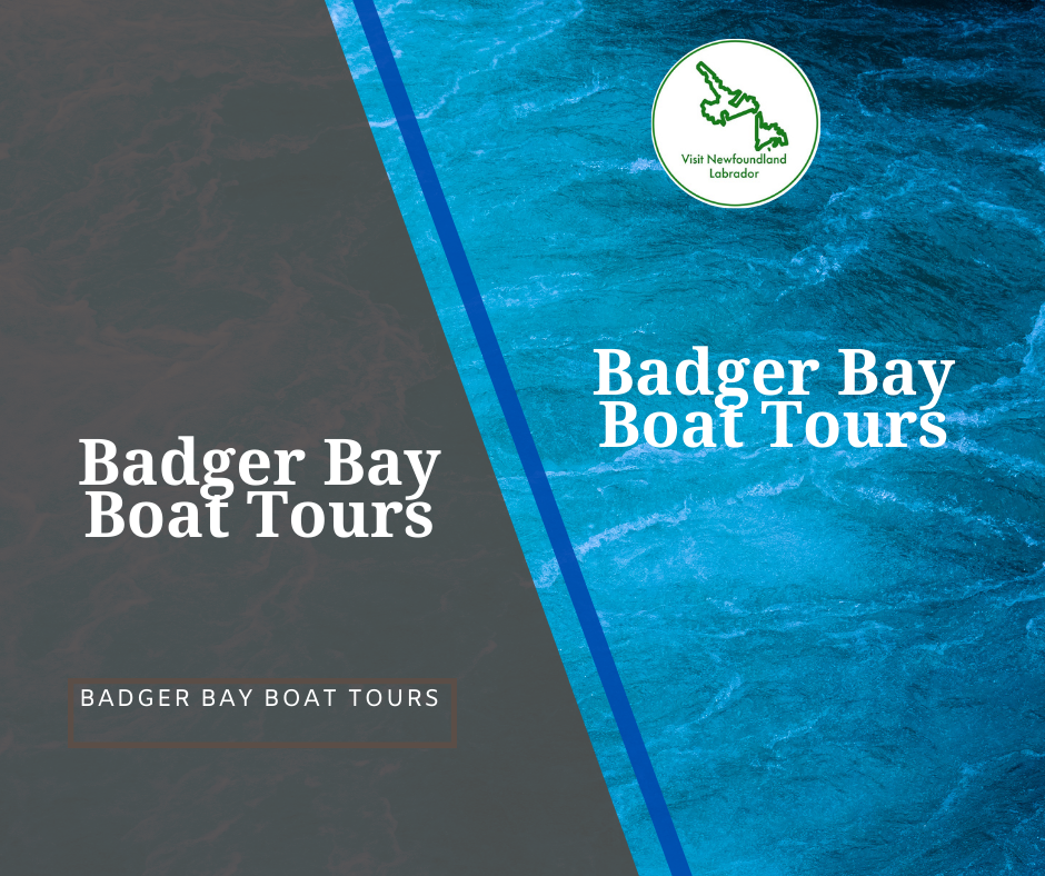 Badger Bay Boat Tours Transform Your Next Adventure By Experiencing Green Bay