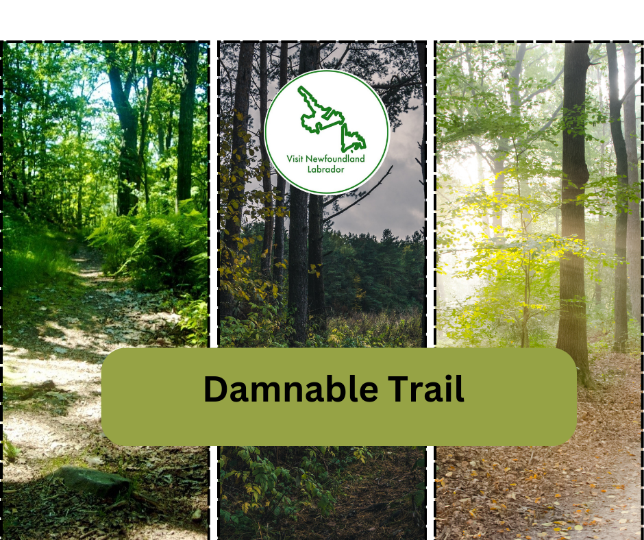 Damnable Trail
