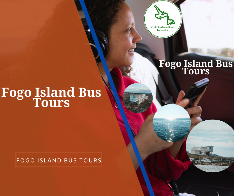 Fogo Island Bus Tours The Most Cool & Unique Things to Do in Central Newfoundland