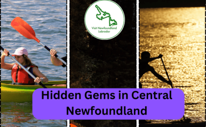 The Most Cool & Unique Things to Do in Central Newfoundland
