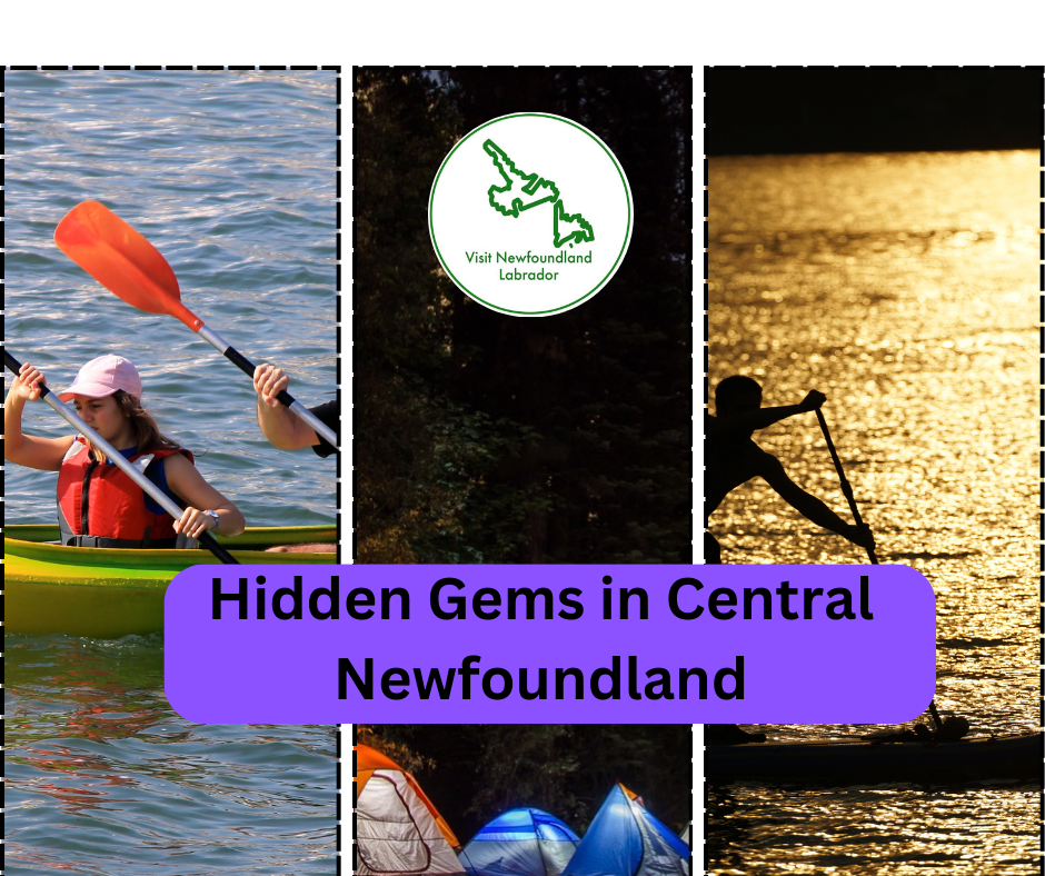The Most Cool & Unique Things to Do in Central Newfoundland