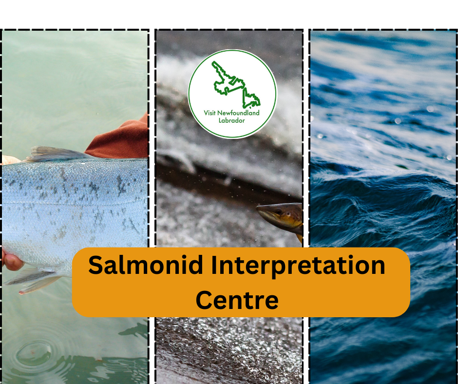 Salmonid Interpretation Centre Discover the best Hidden Gems of Central Newfoundland