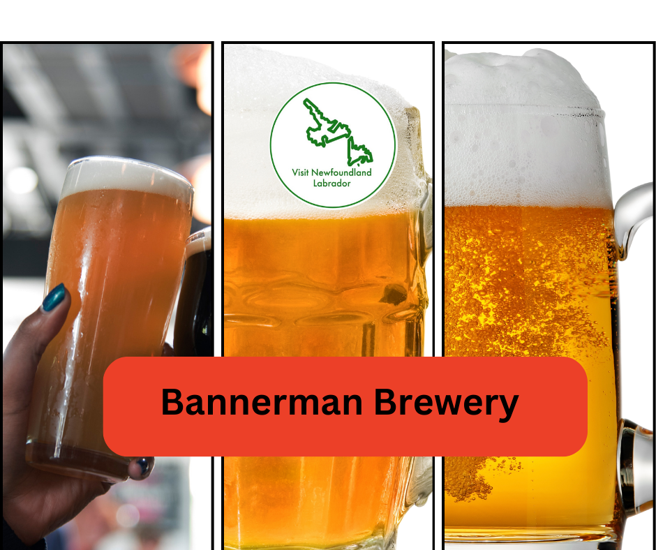 Bannerman Brewery The Best Breweries to Have a Drink in St John's